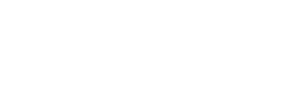 Venezia Bets Logo